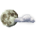 Vremea si temperatura acum