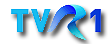 Pagina oficiala a TVR 1