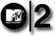 Pagina oficiala a MTV 2